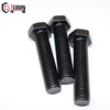 Hex Bolt/Screw